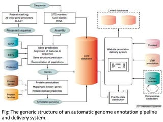 Fig: The generic structure of an automatic genome annotation pipeline
and delivery system.
 