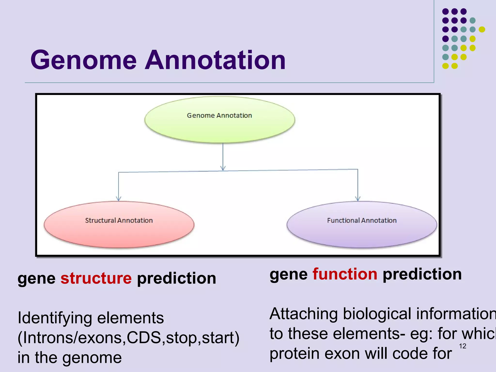 Genome Annotation

gene structure prediction

gene function prediction

Identifying elements
(Introns/exons,CDS,stop,start)
in the genome

Attaching biological information
to these elements- eg: for which
12
protein exon will code for

 