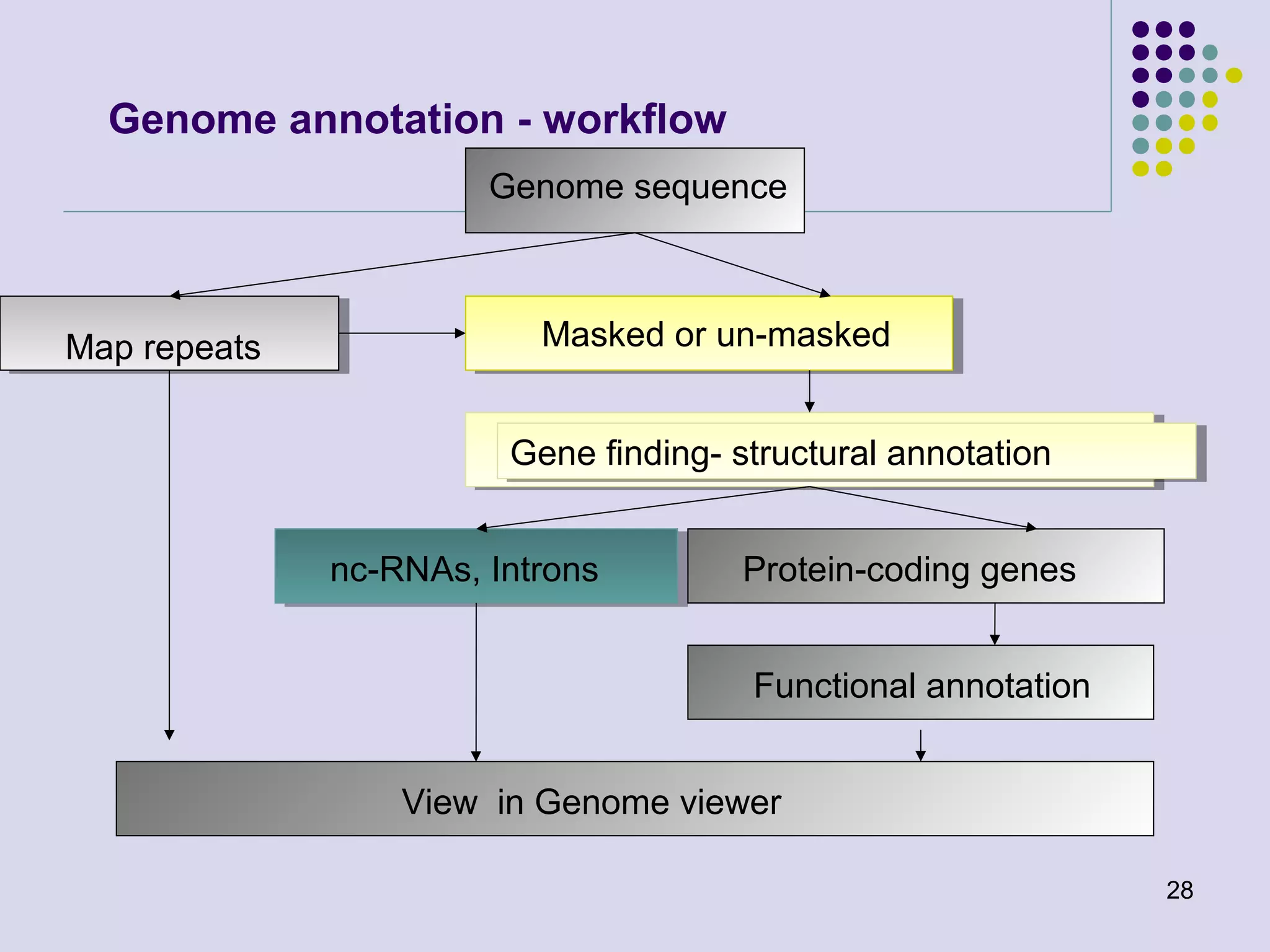 Genome annotation - workflow
Genome sequence

Map repeats

Masked or un-masked
Gene finding- structural annotation
Gene finding- structural annotation
nc-RNAs, Introns

Protein-coding genes
Functional annotation

View in Genome viewer
28

 