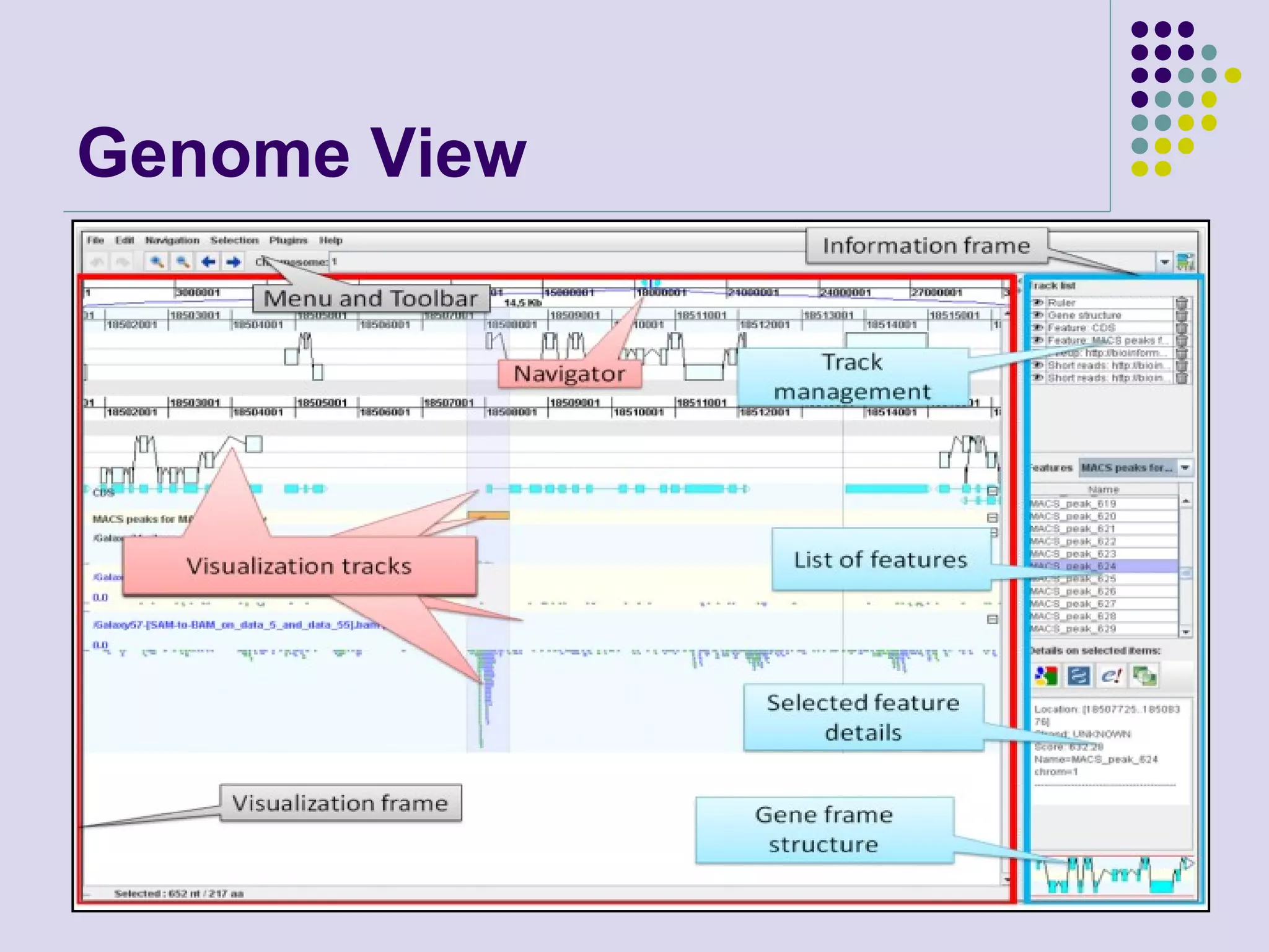 Genome View

August 2008

45

 