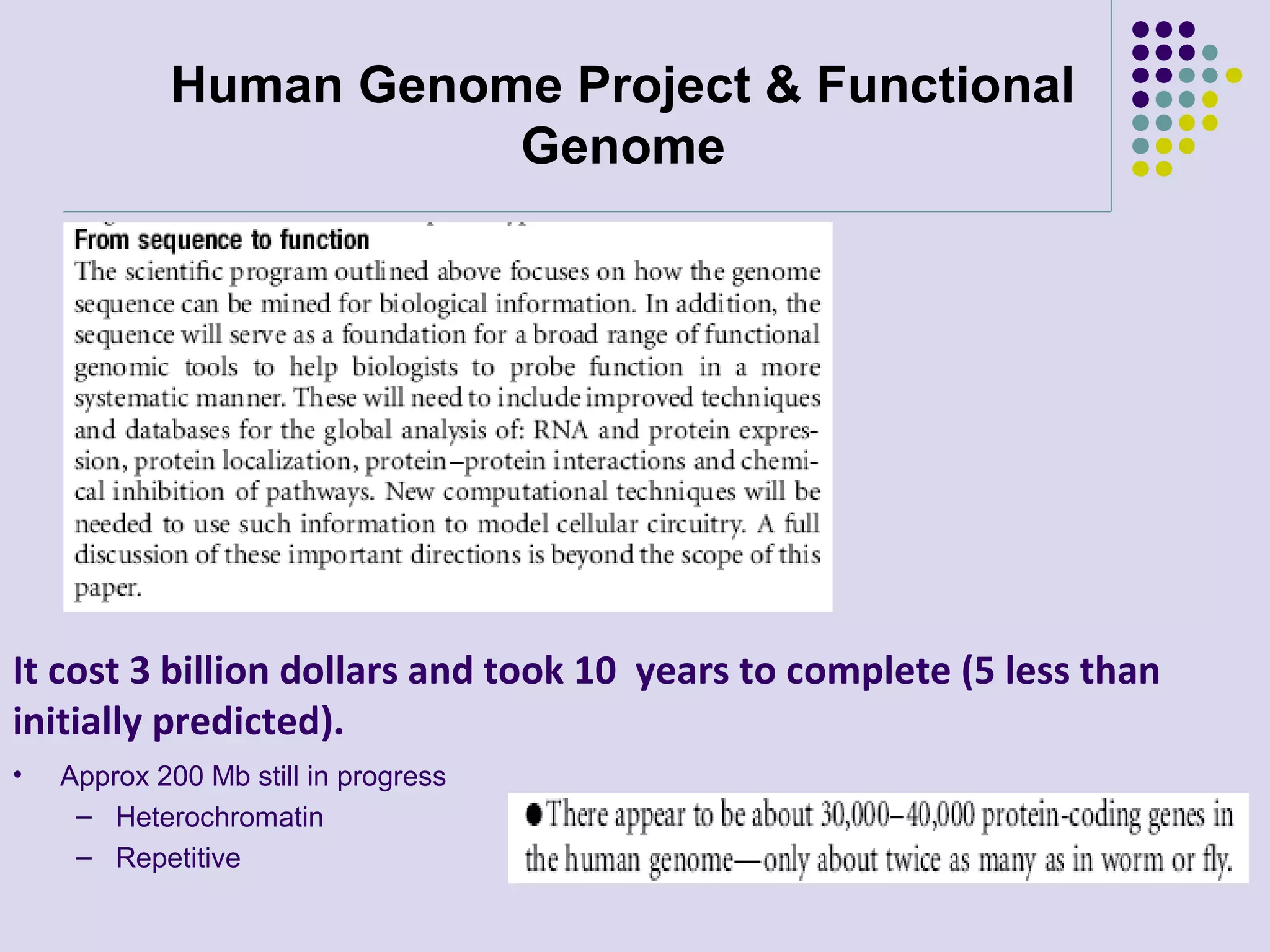 Human Genome Project & Functional
Genome

It cost 3 billion dollars and took 10 years to complete (5 less than
initially predicted).
•

Approx 200 Mb still in progress
– Heterochromatin
– Repetitive

 