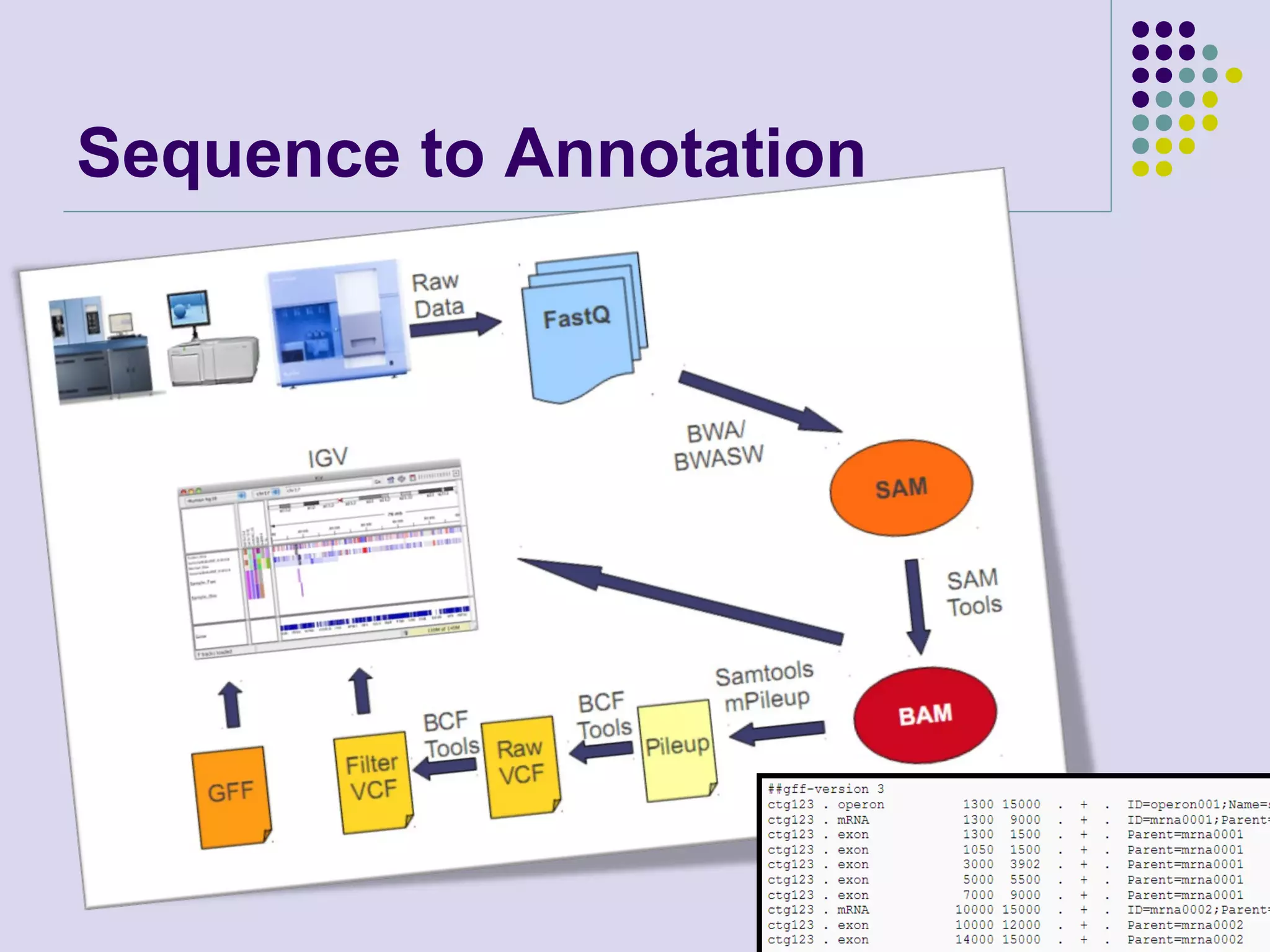 Sequence to Annotation

 
