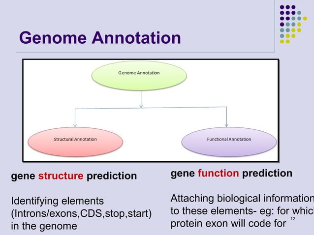 Genome annotation 2013 | PPT
