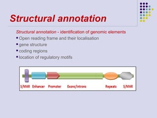 Structural annotation
Structural annotation - identification of genomic elements
Open reading frame and their localisation
gene structure
coding regions
location of regulatory motifs

 