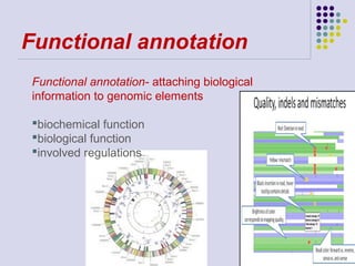 Functional annotation
Functional annotation- attaching biological
information to genomic elements
biochemical function
biological function
involved regulations

 