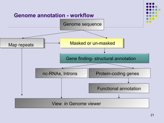 Genome annotation - workflow
Genome sequence

Map repeats

Masked or un-masked
Gene finding- structural annotation
nc-RNAs, Introns

Protein-coding genes
Functional annotation

View in Genome viewer
21

 
