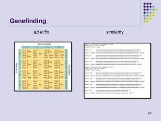 Genefinding
ab initio

similarity

25

 