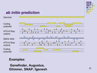 ab initio prediction
Genome
Coding
potential
ATG & Stop
codons
Splice sites
ATG & Stop
codons
Coding
potential

Examples:
Genefinder, Augustus,
Glimmer, SNAP, fgenesh

26

 