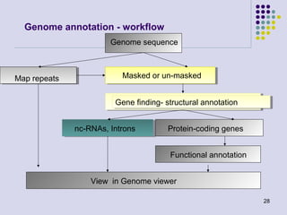 Genome annotation - workflow
Genome sequence

Map repeats

Masked or un-masked
Gene finding- structural annotation
Gene finding- structural annotation
nc-RNAs, Introns

Protein-coding genes
Functional annotation

View in Genome viewer
28

 