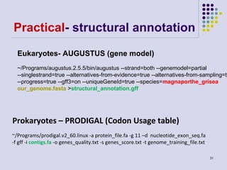 Practical- structural annotation
Eukaryotes- AUGUSTUS (gene model)

~/Programs/augustus.2.5.5/bin/augustus --strand=both --genemodel=partial
--singlestrand=true --alternatives-from-evidence=true --alternatives-from-sampling=tr
--progress=true --gff3=on --uniqueGeneId=true --species=magnaporthe_grisea
our_genome.fasta >structural_annotation.gff

Prokaryotes – PRODIGAL (Codon Usage table)
~/Programs/prodigal.v2_60.linux -a protein_file.fa -g 11 –d nucleotide_exon_seq.fa
-f gff -i contigs.fa -o genes_quality.txt -s genes_score.txt -t genome_training_file.txt
31

 