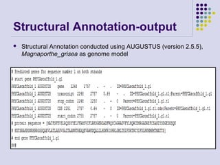 Structural Annotation-output


Structural Annotation conducted using AUGUSTUS (version 2.5.5),
Magnaporthe_grisea as genome model

 