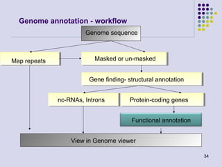 Genome annotation - workflow
Genome sequence

Map repeats

Masked or un-masked
Gene finding- structural annotation
nc-RNAs, Introns

Protein-coding genes
Functional annotation

View in Genome viewer
34

 