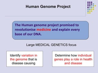 Human Genome Project

The Human genome project promised to
revolutionise medicine and explain every
base of our DNA.
Large MEDICAL GENETICS focus
Identify variation in
the genome that is
disease causing

Determine how individual
genes play a role in health
and disease

 