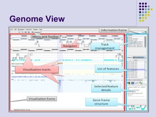Genome View

August 2008

45

 