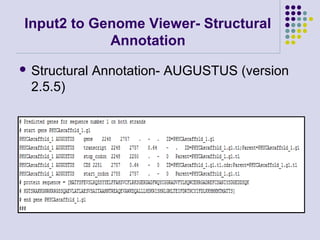 Input2 to Genome Viewer- Structural
Annotation
 Structural

2.5.5)

Annotation- AUGUSTUS (version

 