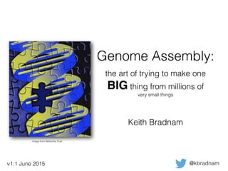 Genome Assembly:
the art of trying to make one
BIG thing from millions of
very small things
Keith Bradnam
@kbradnam
Image from Wellcome Trust
v1.1 June 2015
 