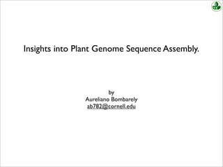 Insights into Plant Genome Sequence Assembly.
by
Aureliano Bombarely
ab782@cornell.edu
 