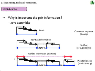 2. Sequencing, tools and computers.
• Why is important the pair information ?
F
- novo assembly:
Consensus sequence
(Contig)
Reads
Scaffold
(or Supercontig)
Pair Read information
NNNNN
Genetic information (markers)
Pseudomolecule
(or ultracontig)
NNNNN NN
2.2 Libraries
 