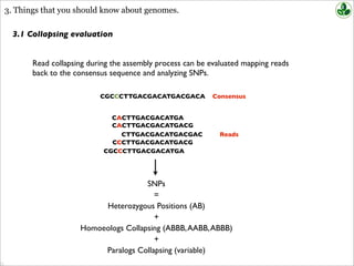 3. Things that you should know about genomes.
3.1 Collapsing evaluation
CACTTGACGACATGACG
CTTGACGACATGACGAC
CCCTTGACGACATGACG
CGCCCTTGACGACATGA
CGCCCTTGACGACATGACGACA Consensus
Reads
Read collapsing during the assembly process can be evaluated mapping reads
back to the consensus sequence and analyzing SNPs.
CACTTGACGACATGA
SNPs
=
Heterozygous Positions (AB)
+
Homoeologs Collapsing (ABBB,AABB,ABBB)
+
Paralogs Collapsing (variable)
 