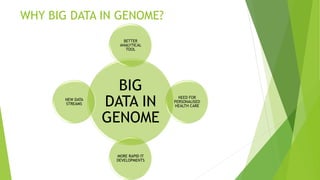 WHY BIG DATA IN GENOME?
BIG
DATA IN
GENOME
BETTER
ANALYTICAL
TOOL
NEED FOR
PERSONALISED
HEALTH CARE
MORE RAPID IT
DEVELOPMENTS
NEW DATA
STREAMS
 