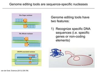 Sequence Editing Genome. .......... Edit.ppt