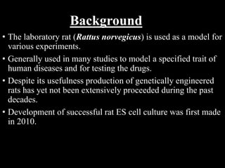 Gm Rats Genome Edited Rats | PPTX