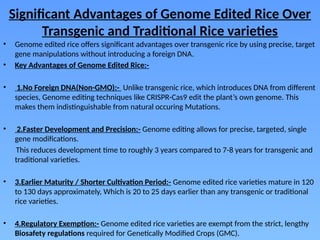 Genetically Modified Giant Rice Genome Edited Rice: A Non-Transgenic Revolution Enhancing Indian ...