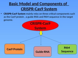 Genome Edited Rice: A Non-Transgenic Revolution Enhancing Indian ...