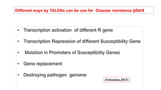 Different ways by TALENs can be use for Disease resistance plant
• Transcription activation of different R gene
• Transcription Repression of different Susceptibility Gene
• Mutation in Promoters of Susceptibility Genes
• Gene replacement
• Destroying pathogen genome
(Sebastian,2013)
 