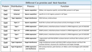 Different Cas proteins and their function
Protein Distribution Process Function
Cas1 Universal Spacer acquisition DNAse, not sequence specfic, can bind RNA; present in all Types
Cas2 Universal Spacer acquisition specific to U-rich regions; present in all Types
Cas3 Type I signature Target interference DNA helicase, endonuclease
Cas4 Type I, II Spacer acquisition RecB-like nuclease with exonuclease activity homologous to RecB
Cas5 Type I crRNA expression RAMP protein, endoribonuclease involved in crRNA biogenesis; part of CASCADE
Cas6 Type I, III crRNA expression RAMP protein, endoribonuclease involved in crRNA biogenesis; part of CASCADE
Cas7 Type I crRNA expression RAMP protein, endoribonuclease involved in crRNA biogenesis; part of CASCADE
Cas8 Type I crRNA expression Large protein with McrA/HNH-nuclease domain and RuvC-like nuclease; part of
CASCADE
Cas9 Type II signature Target interference Large multidomain protein with McrA-HNH nuclease domain and RuvC-like
nuclease domain; necessary for interference and target cleavage
Cas10 Type III signature crRNA expression
and interference
HD nuclease domain, palm domain, Zn ribbon; some homologies with CASCADE
elements 32
 
