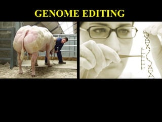 GENOME EDITING
 