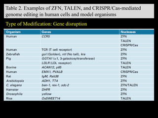 Table 2. Examples of ZFN, TALEN, and CRISPR/Cas-mediated
genome editing in human cells and model organisms
Type of Modification: Gene disruption
 
