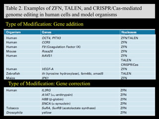 Table 2. Examples of ZFN, TALEN, and CRISPR/Cas-mediated
genome editing in human cells and model organisms
Type of Modification: Gene addition
Type of Modification: Gene correction
 