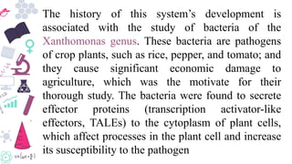The history of this system’s development is
associated with the study of bacteria of the
Xanthomonas genus. These bacteria are pathogens
of crop plants, such as rice, pepper, and tomato; and
they cause significant economic damage to
agriculture, which was the motivate for their
thorough study. The bacteria were found to secrete
effector proteins (transcription activator-like
effectors, TALEs) to the cytoplasm of plant cells,
which affect processes in the plant cell and increase
its susceptibility to the pathogen
 