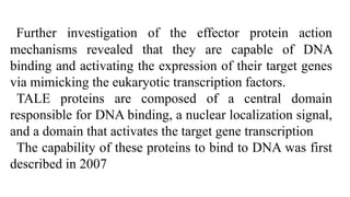 Further investigation of the effector protein action
mechanisms revealed that they are capable of DNA
binding and activating the expression of their target genes
via mimicking the eukaryotic transcription factors.
TALE proteins are composed of a central domain
responsible for DNA binding, a nuclear localization signal,
and a domain that activates the target gene transcription
The capability of these proteins to bind to DNA was first
described in 2007
 