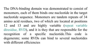 The DNA-binding domain was demonstrated to consist of
monomers, each of them binds one nucleotide in the target
nucleotide sequence. Monomers are tandem repeats of 34
amino acid residues, two of which are located at positions
12 and 13 and are highly variable (repeat variable
diresidue, RVD), and it is they that are responsible for the
recognition of a specific nucleotide.This code is
degenerate; some RVDs can bind to several nucleotides
with different efficiencies
 