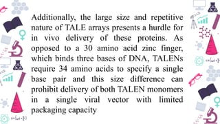 Additionally, the large size and repetitive
nature of TALE arrays presents a hurdle for
in vivo delivery of these proteins. As
opposed to a 30 amino acid zinc finger,
which binds three bases of DNA, TALENs
require 34 amino acids to specify a single
base pair and this size difference can
prohibit delivery of both TALEN monomers
in a single viral vector with limited
packaging capacity
 