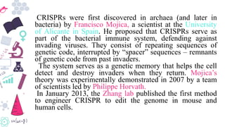 CRISPRs were first discovered in archaea (and later in
bacteria) by Francisco Mojica, a scientist at the University
of Alicante in Spain. He proposed that CRISPRs serve as
part of the bacterial immune system, defending against
invading viruses. They consist of repeating sequences of
genetic code, interrupted by “spacer” sequences – remnants
of genetic code from past invaders.
The system serves as a genetic memory that helps the cell
detect and destroy invaders when they return. Mojica’s
theory was experimentally demonstrated in 2007 by a team
of scientists led by Philippe Horvath.
In January 2013, the Zhang lab published the first method
to engineer CRISPR to edit the genome in mouse and
human cells.
 