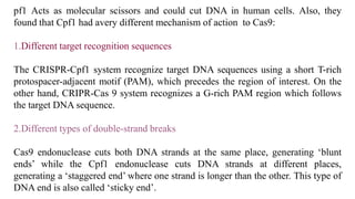 pf1 Acts as molecular scissors and could cut DNA in human cells. Also, they
found that Cpf1 had avery different mechanism of action to Cas9:
1.Different target recognition sequences
The CRISPR-Cpf1 system recognize target DNA sequences using a short T-rich
protospacer-adjacent motif (PAM), which precedes the region of interest. On the
other hand, CRIPR-Cas 9 system recognizes a G-rich PAM region which follows
the target DNA sequence.
2.Different types of double-strand breaks
Cas9 endonuclease cuts both DNA strands at the same place, generating ‘blunt
ends’ while the Cpf1 endonuclease cuts DNA strands at different places,
generating a ‘staggered end’ where one strand is longer than the other. This type of
DNA end is also called ‘sticky end’.
 