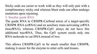 Sticky ends are easier to work with as they will only pair with a
complimentary sticky end whereas blunt ends can often undergo
mutations upon rejoining.
3. Smaller guide RNA
The guide RNA in CRISPR-Cas9end nsists of a target-specific
CRISPR RNA (crRNA) and an auxiliary trans-activating crRNA
(tracrRNA), whereas CRISPR-Cpf1 arrays do not have this
additional tracrRNA. Thus, the Cpf1 system needs only one
RNA molecule to cut DNA instead of two.
This allows CRSIPR-Cpf1 to be much smaller than CRISPR,
making it easier for the enzyme to enter cells and tissues.
 