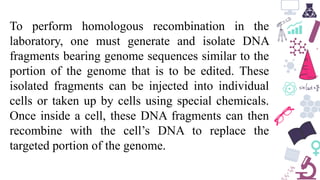 To perform homologous recombination in the
laboratory, one must generate and isolate DNA
fragments bearing genome sequences similar to the
portion of the genome that is to be edited. These
isolated fragments can be injected into individual
cells or taken up by cells using special chemicals.
Once inside a cell, these DNA fragments can then
recombine with the cell’s DNA to replace the
targeted portion of the genome.
 