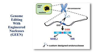Genome
Editing
With
Engineered
Nucleases
(GEEN)
 