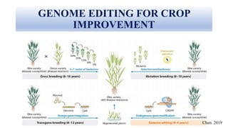 GENOME EDITING FOR CROP
IMPROVEMENT
Chen. 2019
 