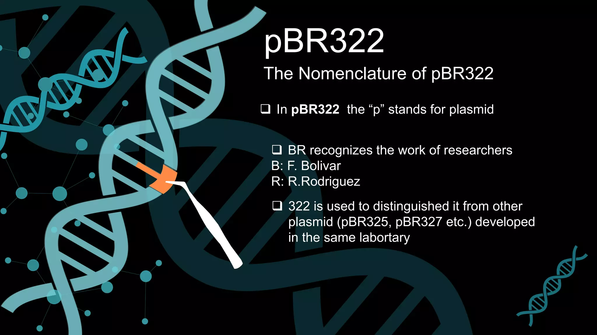 pBR322
The Nomenclature of pBR322
 In pBR322 the “p” stands for plasmid
 BR recognizes the work of researchers
B: F. Bolivar
R: R.Rodriguez
 322 is used to distinguished it from other
plasmid (pBR325, pBR327 etc.) developed
in the same labortary
 