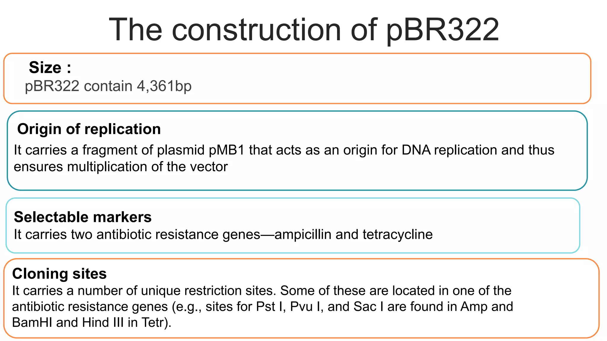 The construction of pBR322
Text Here
Easy to change
colors, photos and
Text.
Text Here
Easy to change
colors, photos and
Text.
Text Here
Easy to change
colors, photos and
Text.
Size :
pBR322 contain 4,361bp
.
Origin of replication
Selectable markers
It carries two antibiotic resistance genes—ampicillin and tetracycline
It carries a fragment of plasmid pMB1 that acts as an origin for DNA replication and thus
ensures multiplication of the vector
Cloning sites
It carries a number of unique restriction sites. Some of these are located in one of the
antibiotic resistance genes (e.g., sites for Pst I, Pvu I, and Sac I are found in Amp and
BamHI and Hind III in Tetr).
 