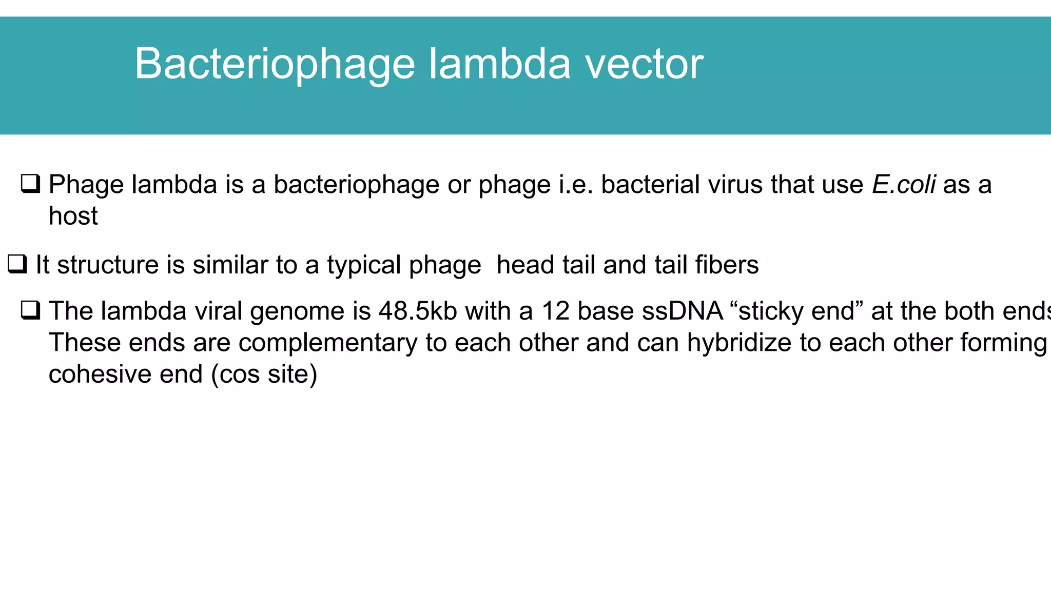 Bacteriophage lambda vector
 Phage lambda is a bacteriophage or phage i.e. bacterial virus that use E.coli as a
host
 It structure is similar to a typical phage head tail and tail fibers
 The lambda viral genome is 48.5kb with a 12 base ssDNA “sticky end” at the both ends
These ends are complementary to each other and can hybridize to each other forming
cohesive end (cos site)
 