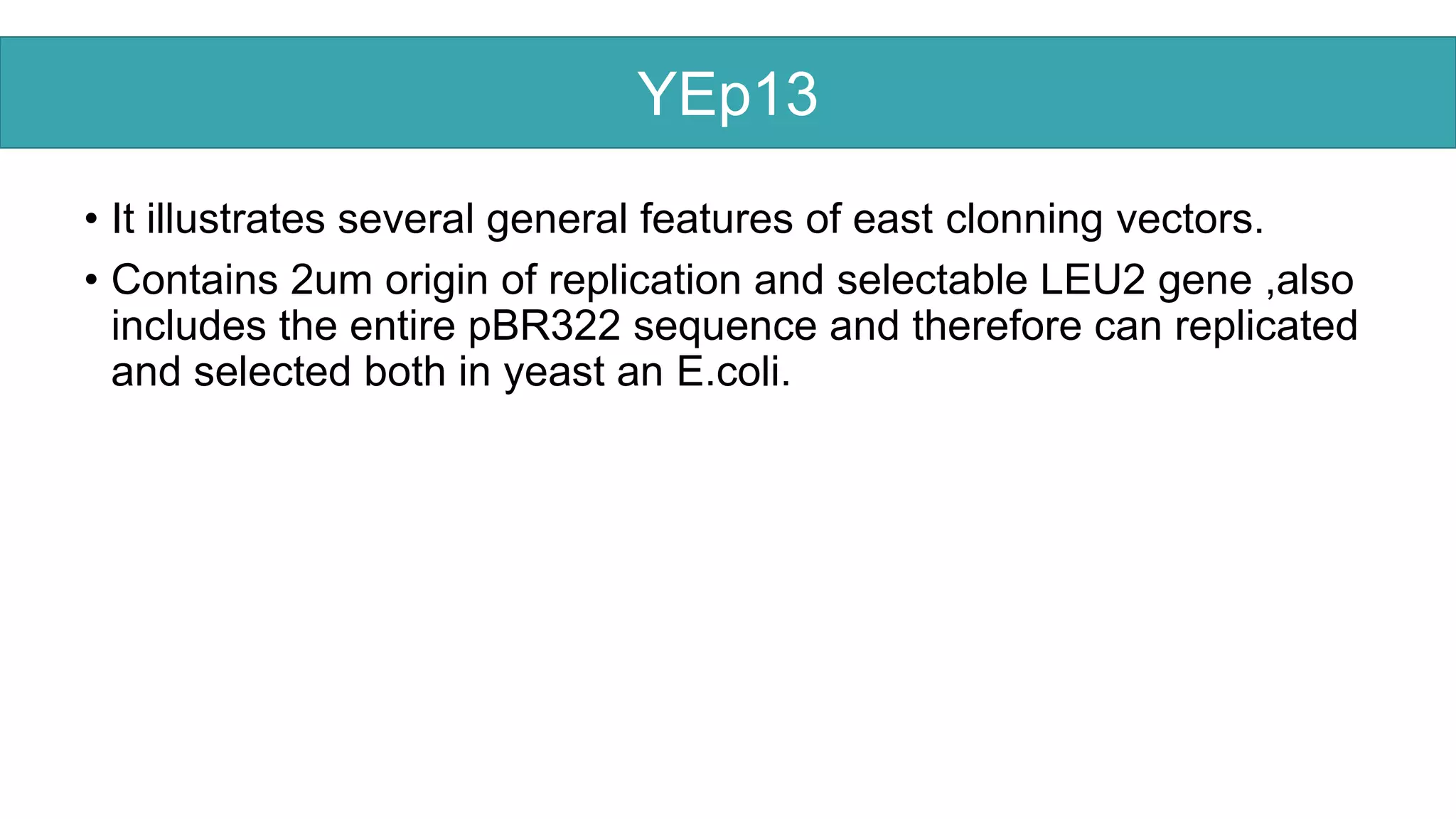YEp13
• It illustrates several general features of east clonning vectors.
• Contains 2um origin of replication and selectable LEU2 gene ,also
includes the entire pBR322 sequence and therefore can replicated
and selected both in yeast an E.coli.
YEp13
 