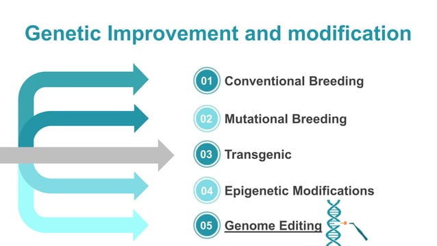 Genome editing, luxturna | PPTX | Genetics | Science