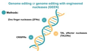 02
01
03
Genome editing or genome editing with engineered
nucleases (GEEN)
Zinc finger nucleases (ZFNs)
TAL effector nucleases
(TALENs)
CRISPRs
Methods:
 