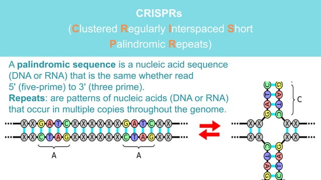 Genome editing, luxturna | PPTX | Genetics | Science